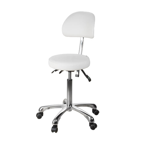 Bolt 200 Medical Doctors Stool with Back and 3 Way Motion